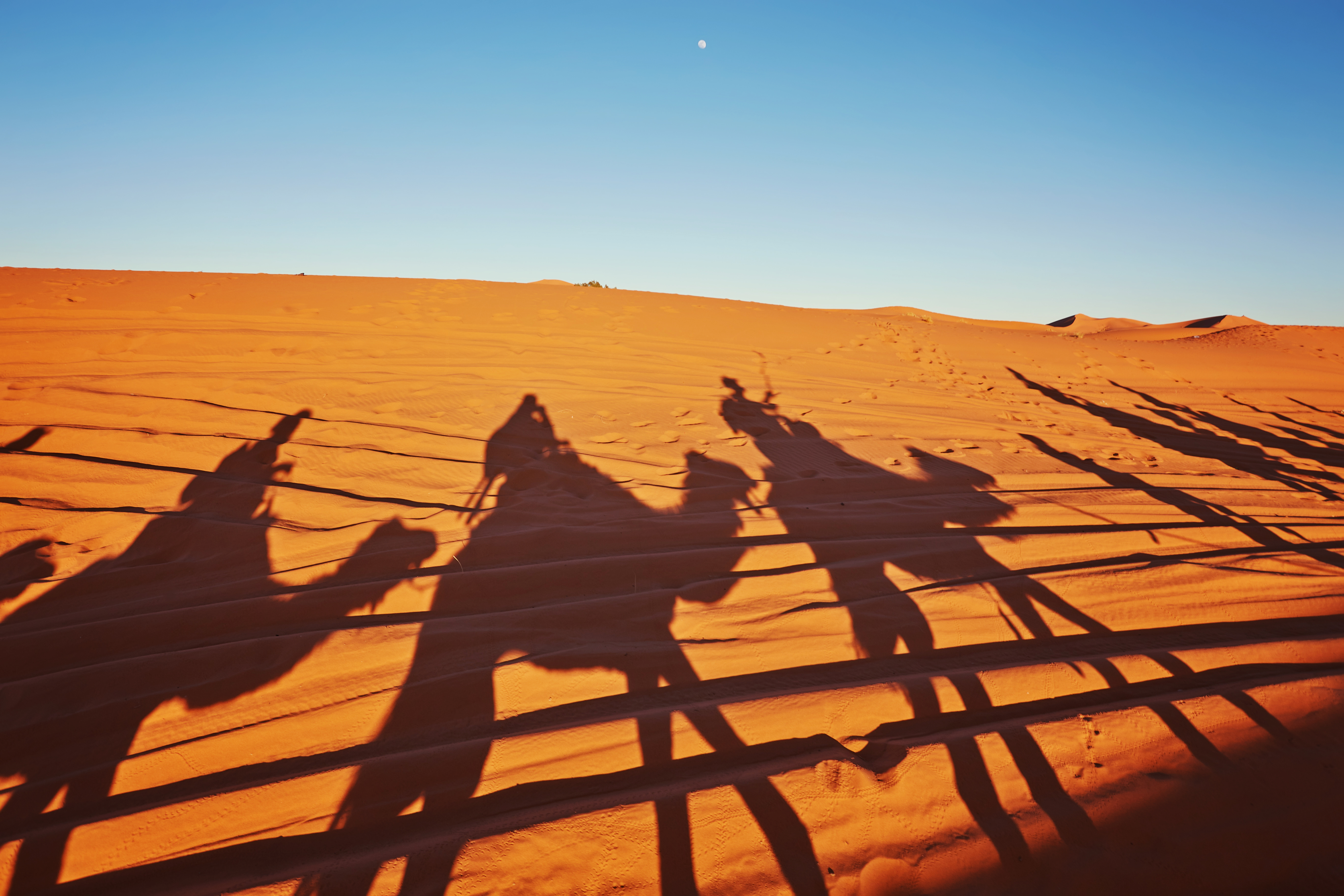 Premium desert experience in Dubai